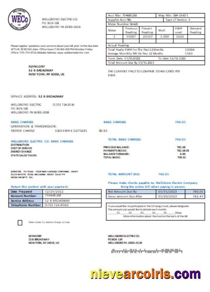 Wellsboro Electric Co utility business bill